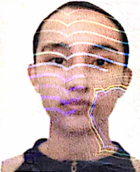 Pragya Prasai